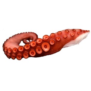 Octopus (Pulpo)
